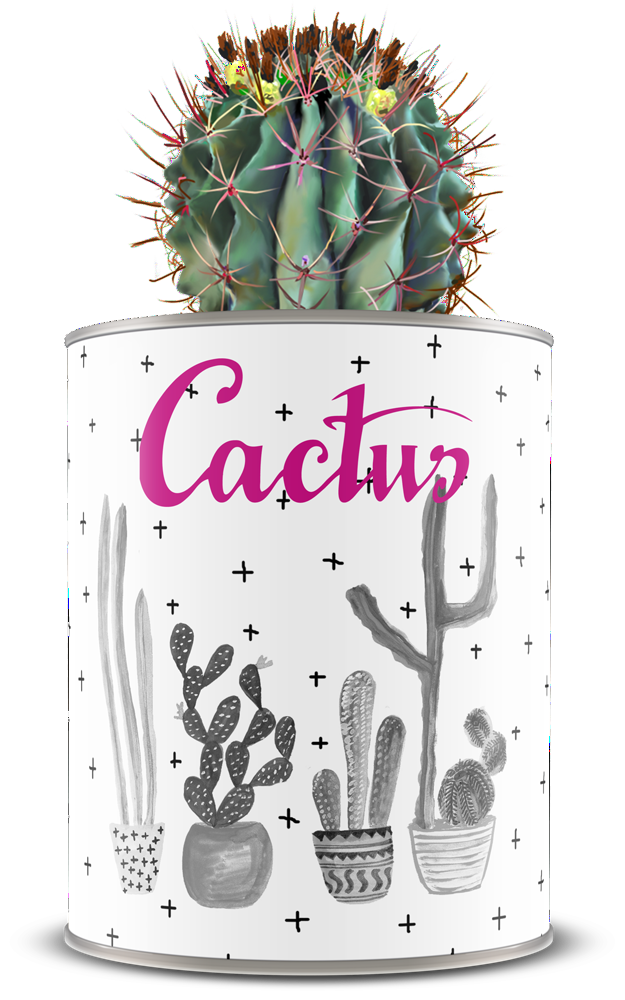 Cactus conservat