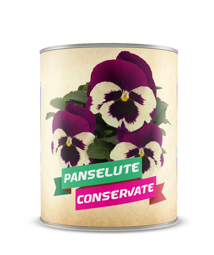 Panselute conservate